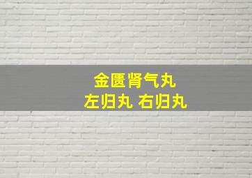 金匮肾气丸 左归丸 右归丸